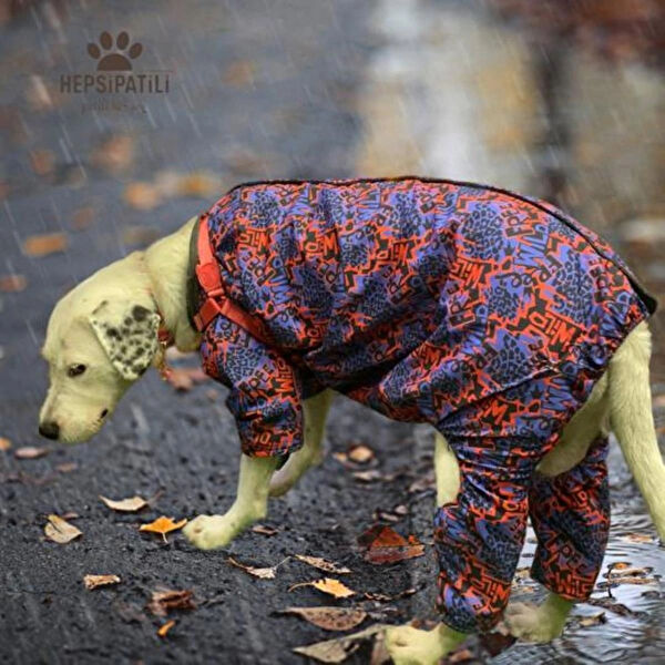 Alphadog Köpek Elbisesi