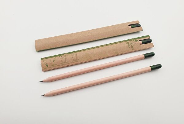 Yaşayan Kalem Kurşun Kalem