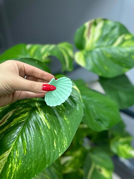 Duygum aksesuar Kadın Saç Tokaları ve Yüzükleri