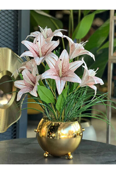 TASARIMH Vazo, Saksı