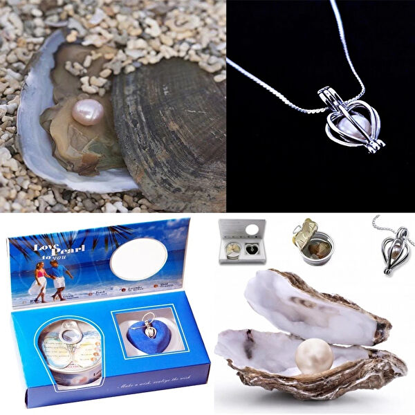 LTG Nova Hediyelik Ürün