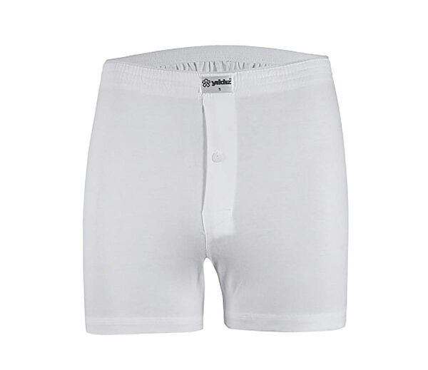 Ay Yıldız Erkek Boxer, Slip, Külot