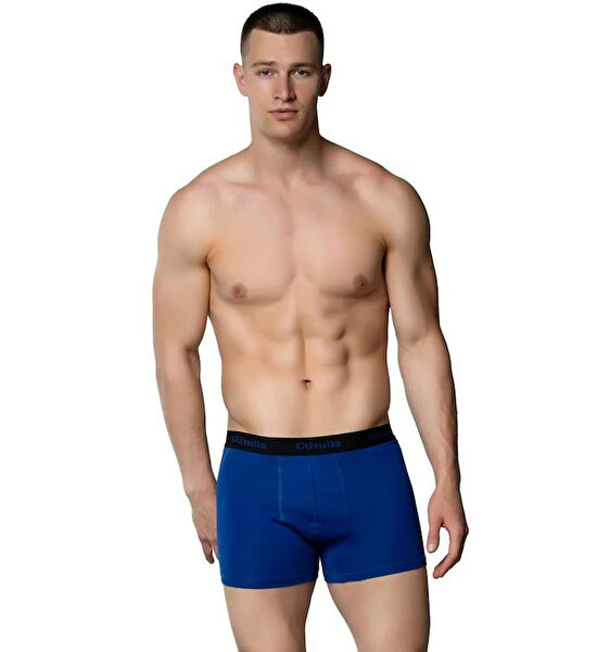 Gümüş Erkek Boxer, Slip, Külot