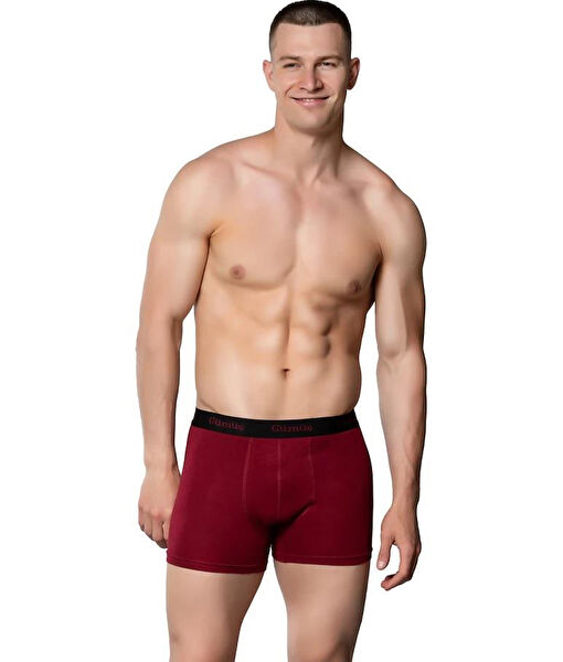 Gümüş Erkek Boxer, Slip, Külot