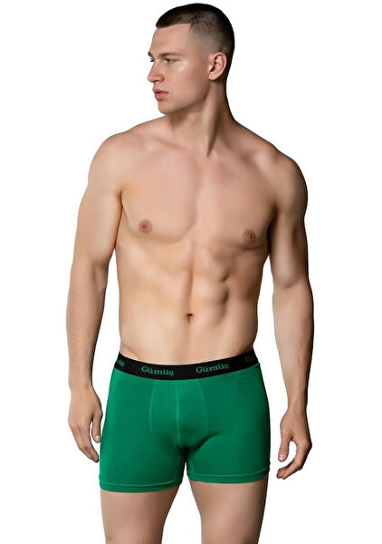 Gümüş Erkek Boxer, Slip, Külot