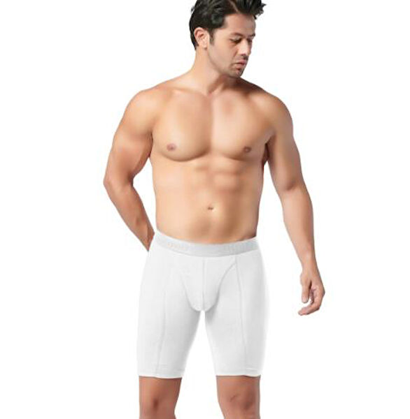 Gümüş Erkek Boxer, Slip, Külot