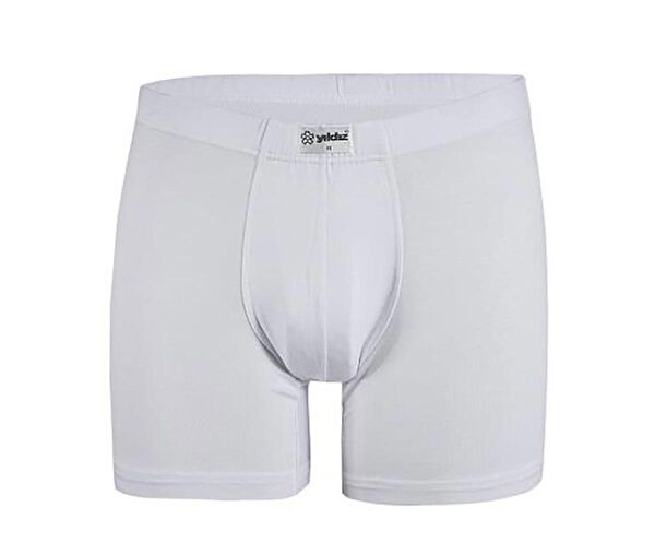 Ay Yıldız Erkek Boxer, Slip, Külot