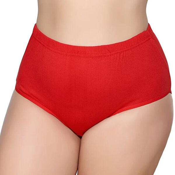 Gümüş Kadın Külot