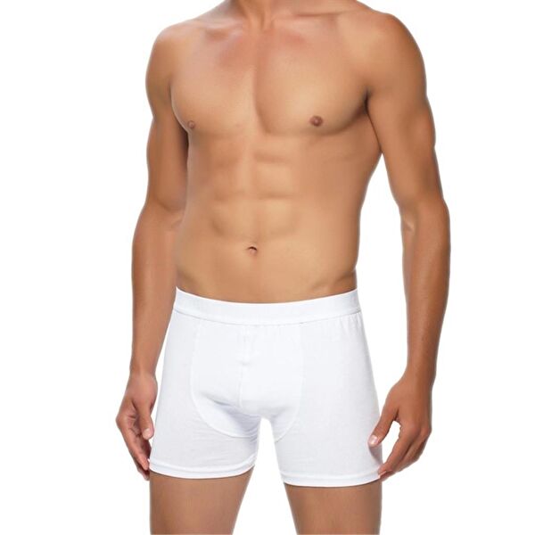 Gümüş Erkek Boxer, Slip, Külot