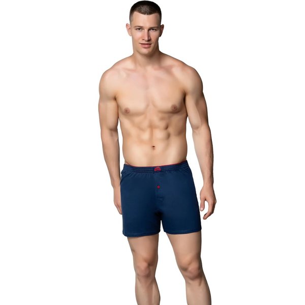 Gümüş Erkek Boxer, Slip, Külot