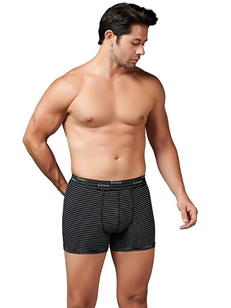 Gümüş Erkek Boxer, Slip, Külot