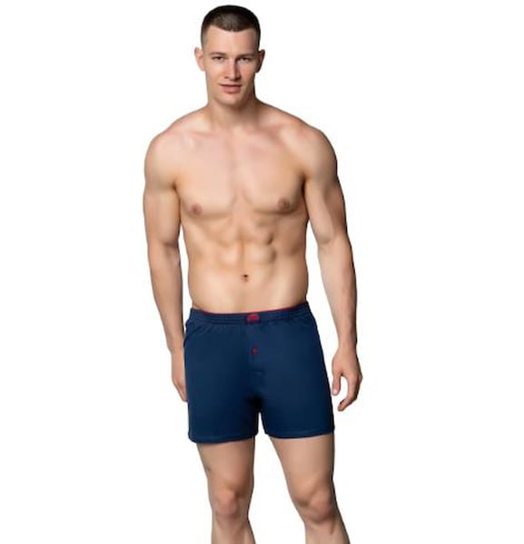 Gümüş Erkek Boxer, Slip, Külot