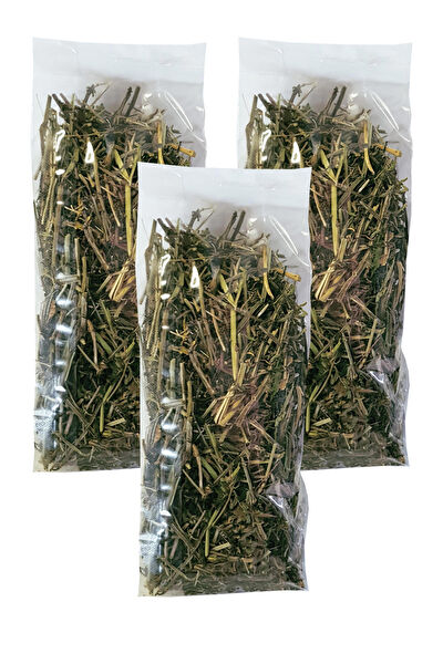 Zencefil Organik Çay