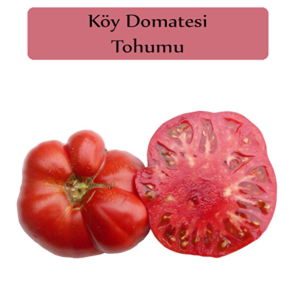 Zencefil Organik Tohum