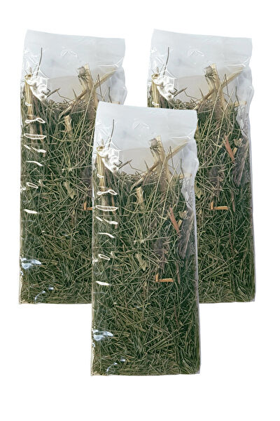 Zencefil Organik Çay