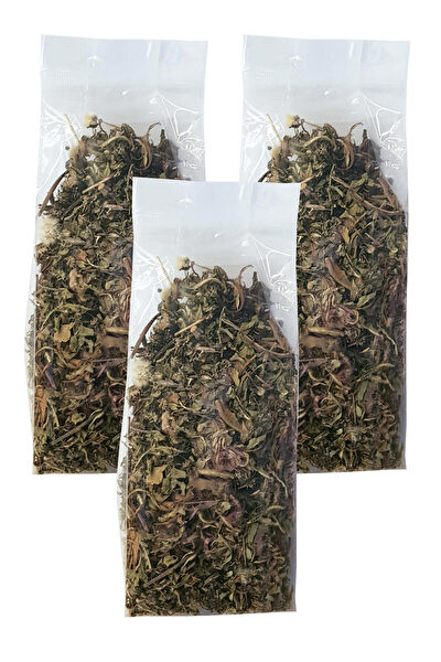 Zencefil Organik Çay