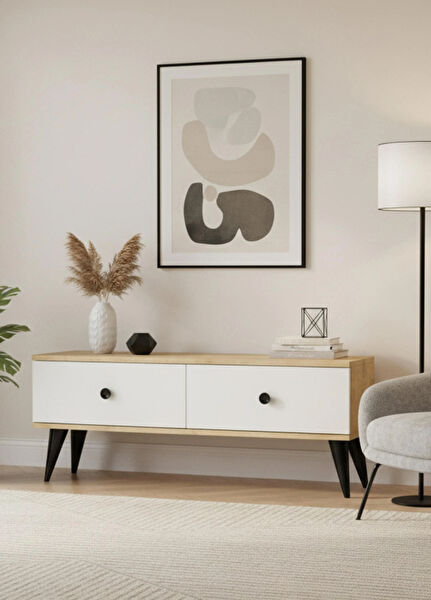 CENEYRA TV Sehpası, Ünitesi