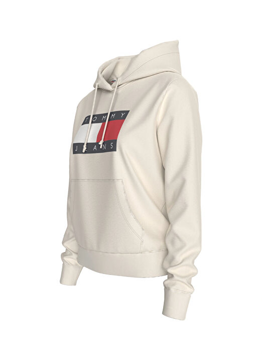 Tommy flag hoodie online
