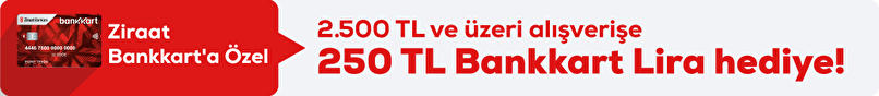 250 TL Bankkart Lira